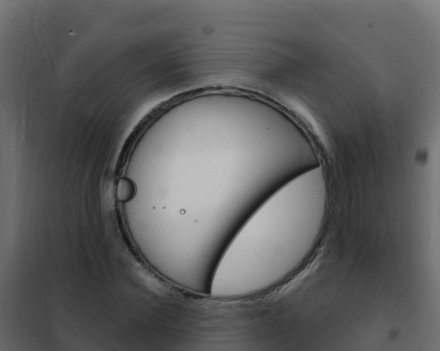 X0000102490924200808081053