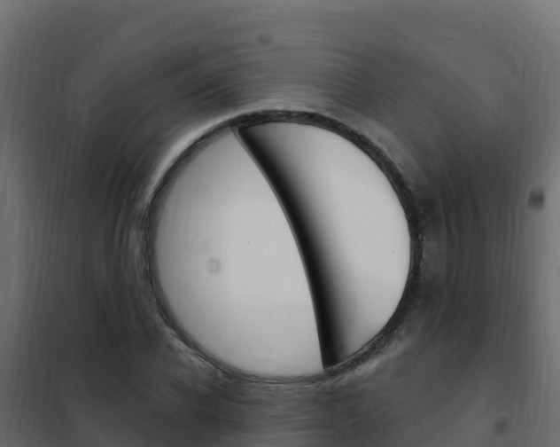 X0000102490926200808081053