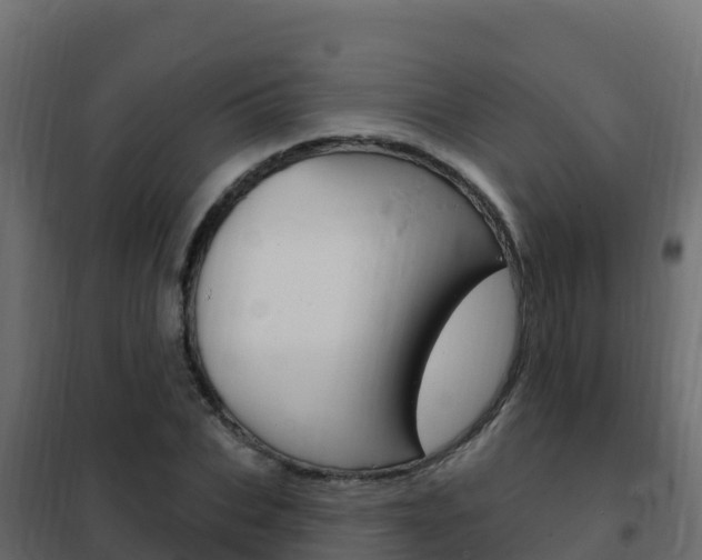 X0000102490927200808081053