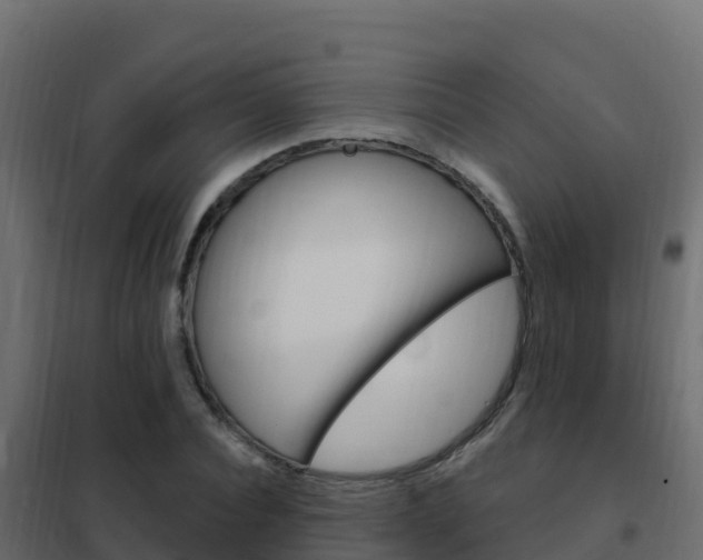 X0000102490928200808081053