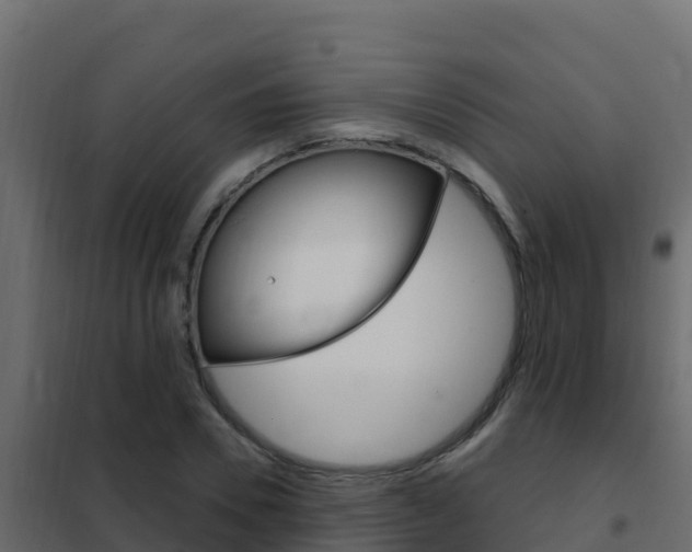 X0000102490930200808081053