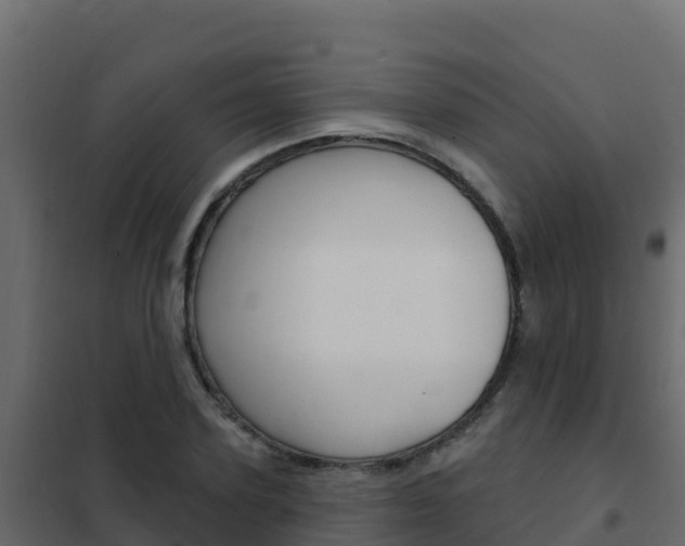 X0000102490931200808081053