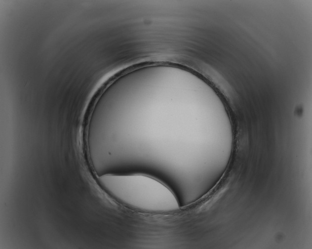 X0000102490932200808081053