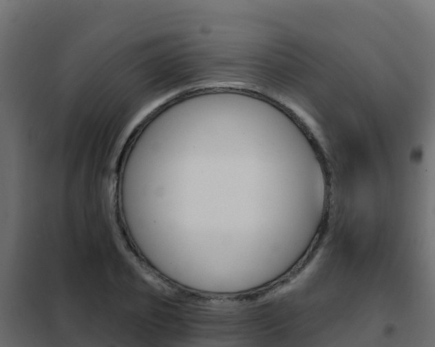 X0000102490933200808081053