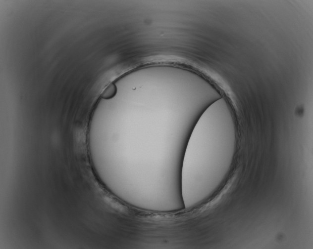 X0000102490937200808081053