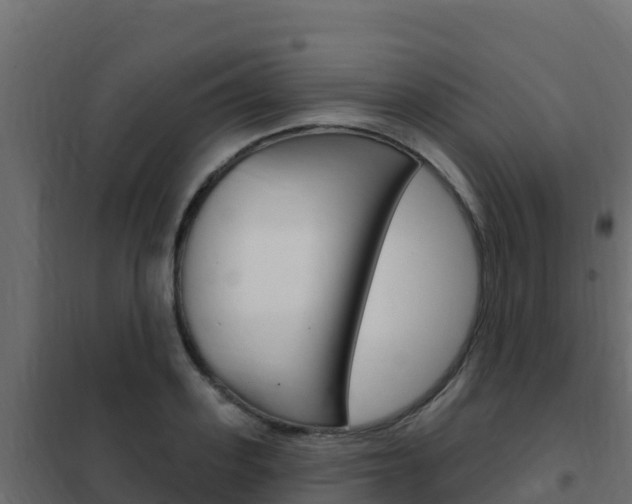 X0000102490939200808081053