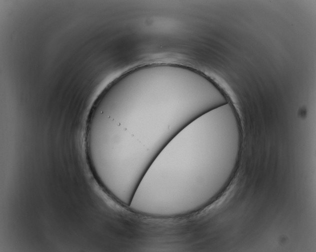 X0000102490941200808081053