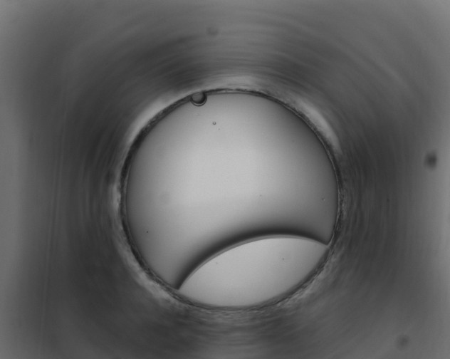 X0000102490944200808081053
