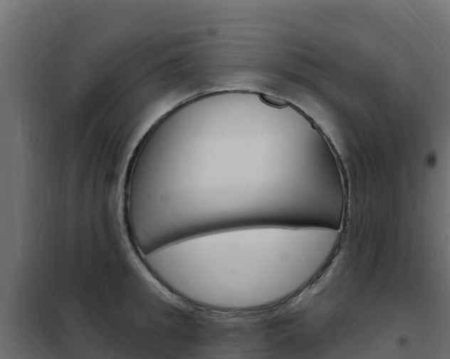 X0000102490949200808081053