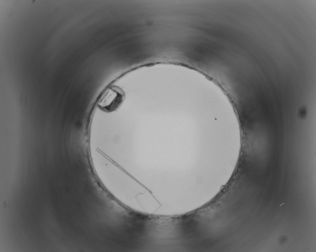 X0000102490950200808081053
