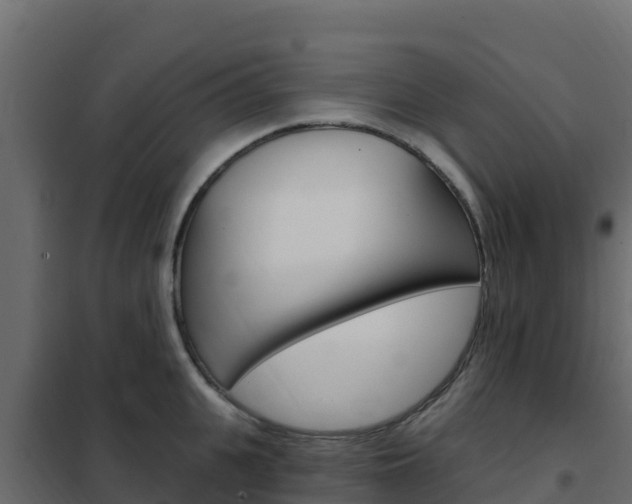 X0000102490951200808081053