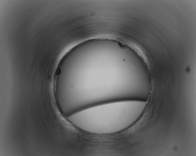 X0000102490952200808081053