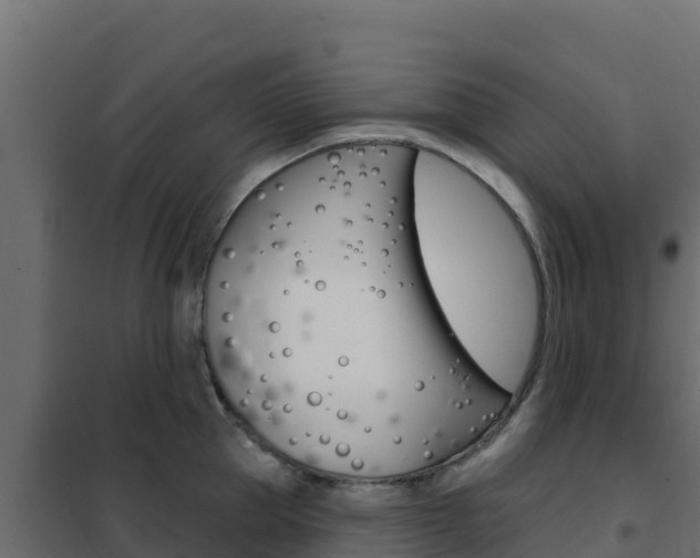 X0000102490953200808081053