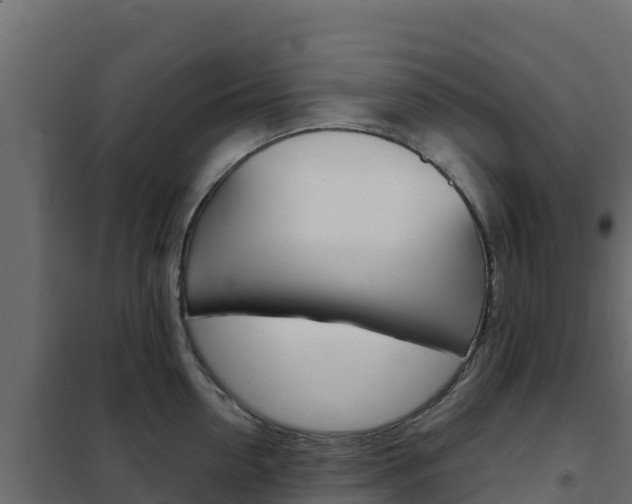 X0000102490954200808081053