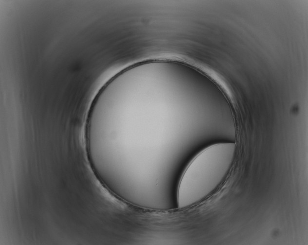X0000102490959200808081053