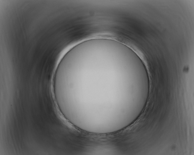 X0000102490960200808081053