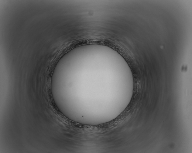 X0000102490961200808081052