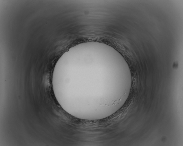 X0000102490962200808081052