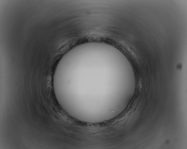 X0000102490964200808081052