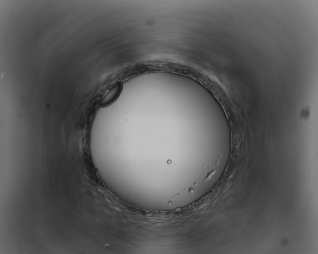 X0000102490965200808081052