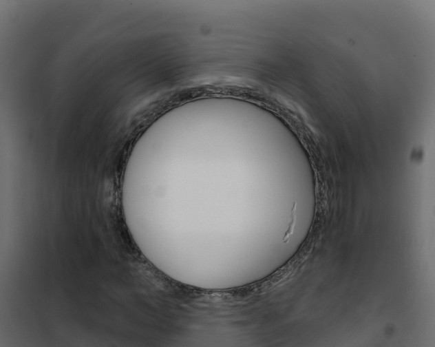 X0000102490966200808081052