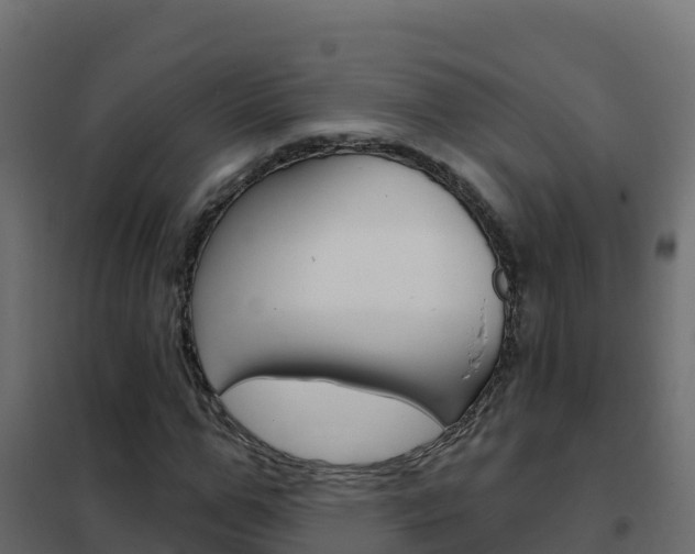 X0000102490967200808081052