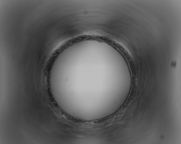 X0000102490968200808081052