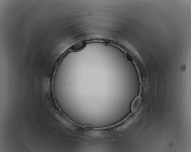 X0000102490969200808081052