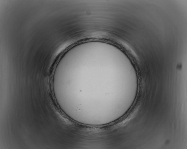 X0000102490970200808081052