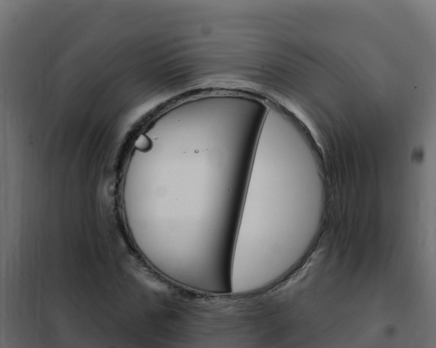 X0000102490971200808081052
