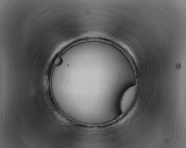X0000102490973200808081052