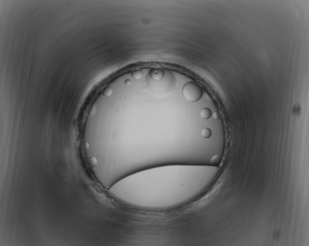 X0000102490974200808081052