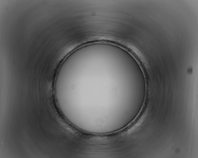 X0000102490977200808081052