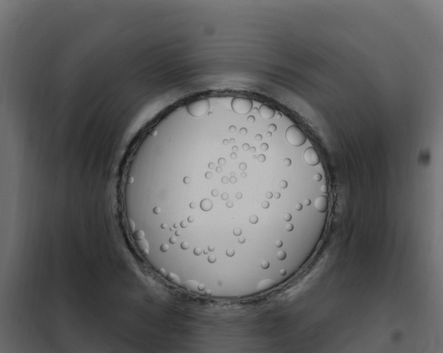 X0000102490978200808081052