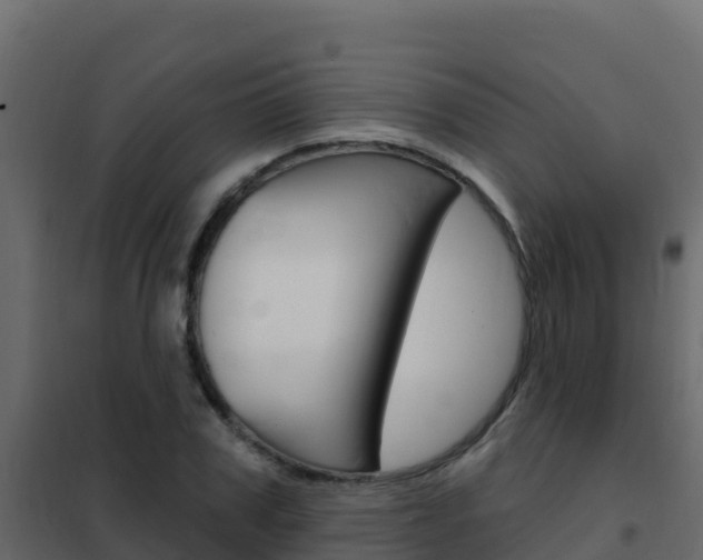 X0000102490979200808081052