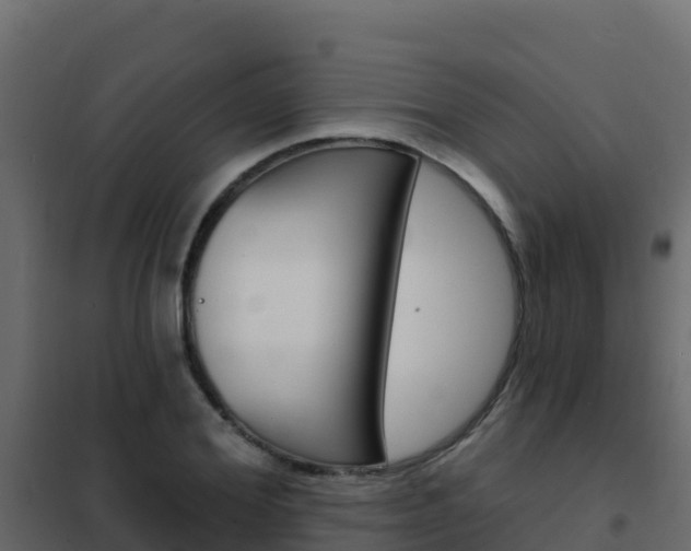 X0000102490980200808081052