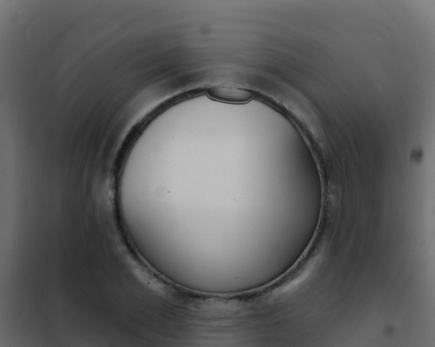 X0000102490981200808081052