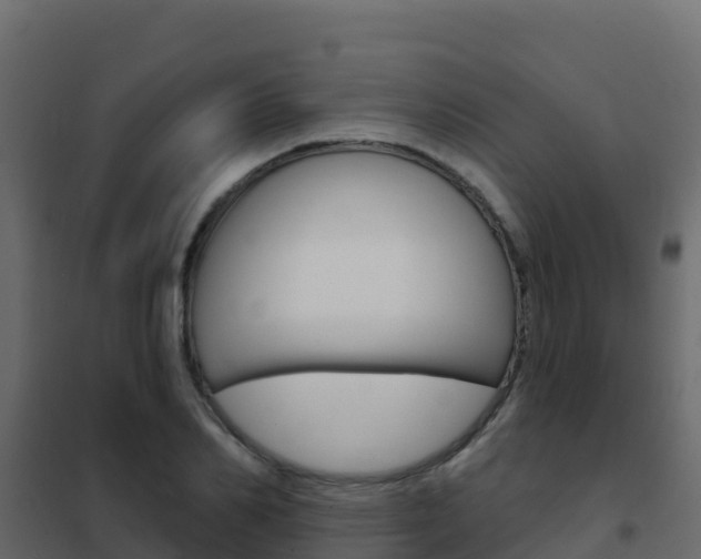 X0000102490982200808081052