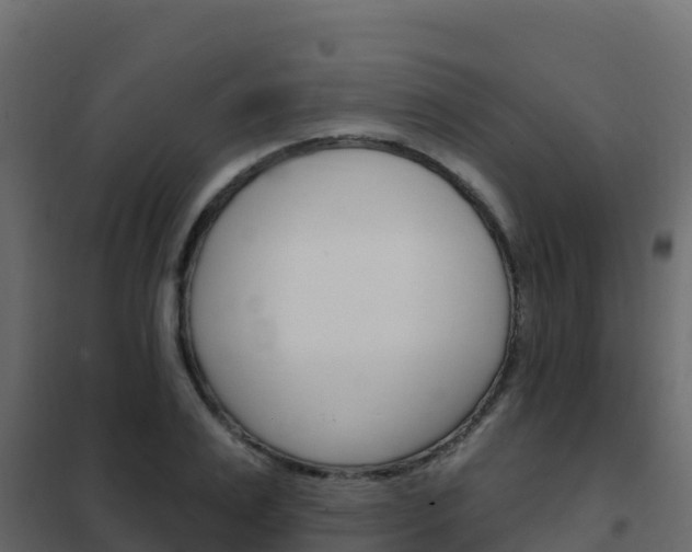 X0000102490983200808081052