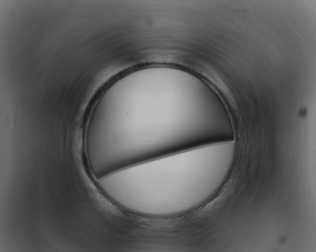 X0000102490984200808081052