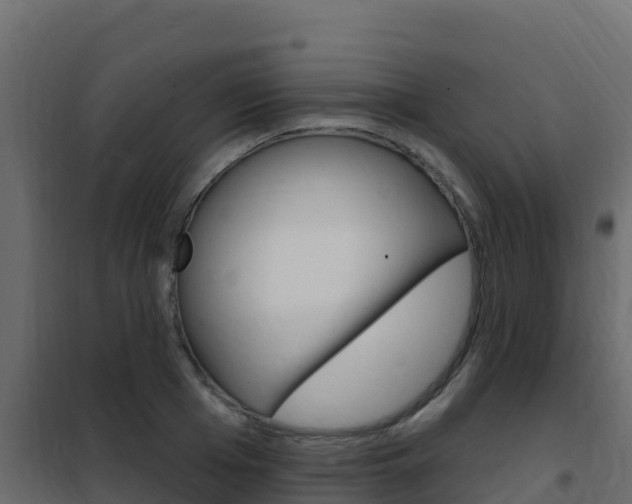 X0000102490985200808081052