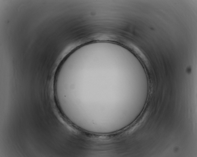 X0000102490986200808081052