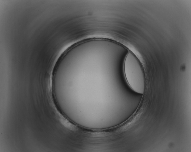 X0000102490988200808081052