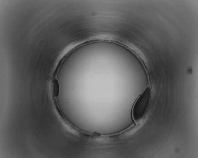 X0000102490989200808081052