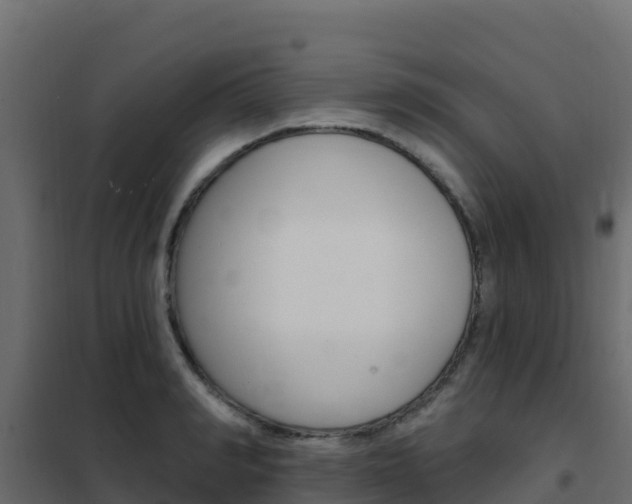 X0000102490990200808081052