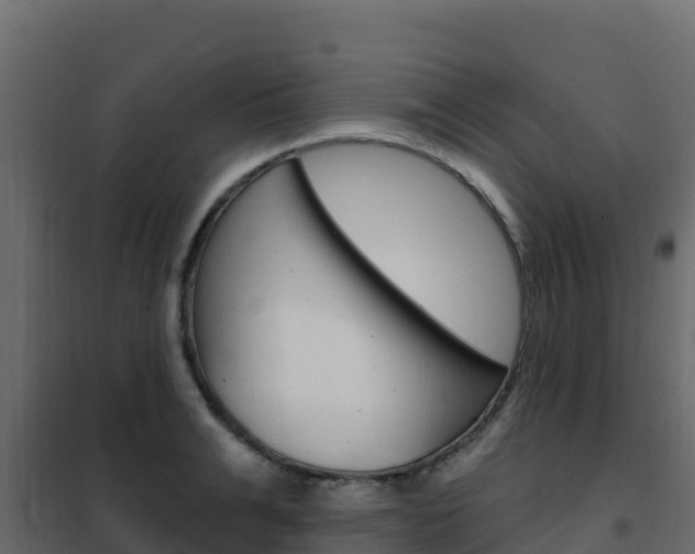 X0000102490991200808081052