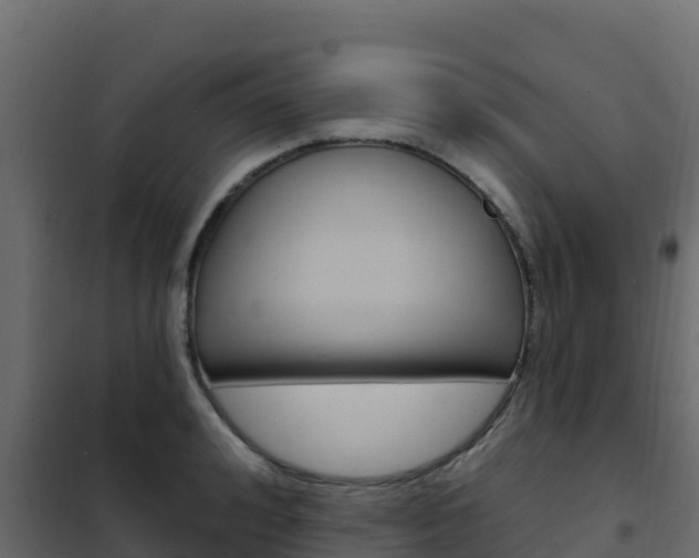 X0000102490992200808081052