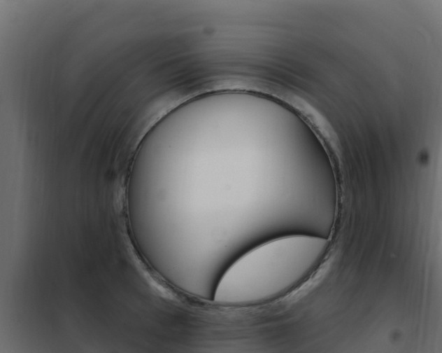 X0000102490993200808081052