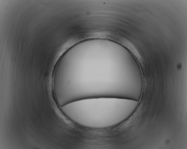 X0000102490994200808081052