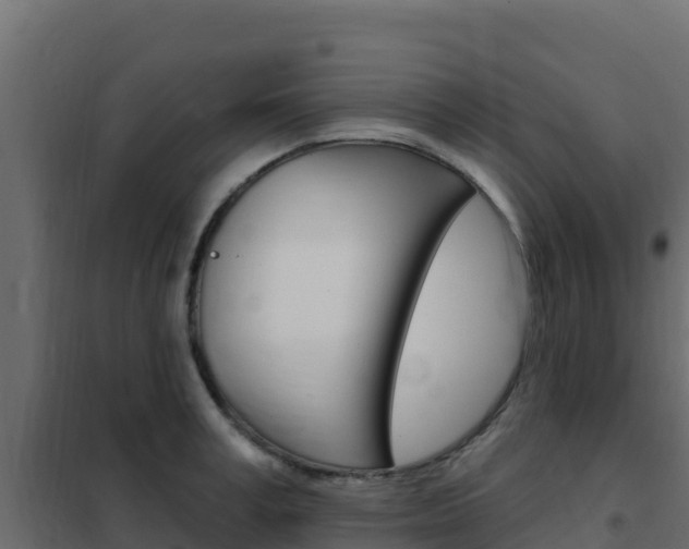 X0000102490995200808081052